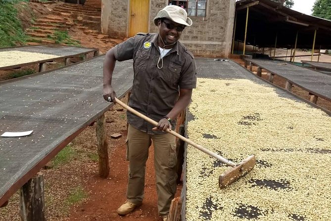Experiential Coffee Farm Tour With Free Gift