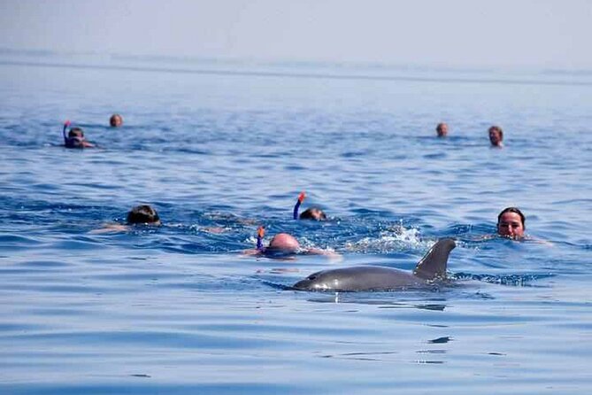 Explore Dolphin House Snorkeling and Lunch From Hurghada