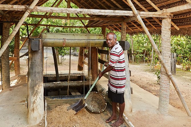 Explore Gem Mines in Rathnapura From Colombo - Visit Local Gem Mines