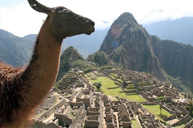 Explore Machu Picchu in 1-Day By Train - Guided Tour of Machu Picchu