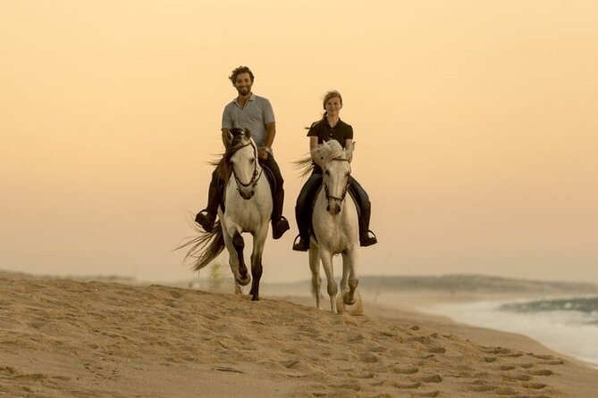 Explore Sea & Desert on Horseback in Hurghada - Location and Inclusions