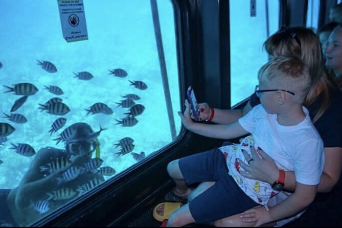 Explore Underwater in a Sea Scope Trip in Sharm El-Sheikh - Pickup Details and Contact Information