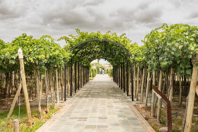 Exploring El Enemigo & Casa Vigil / Meet Mendoza´s Wine Icon - The Legacy of Casa Vigil