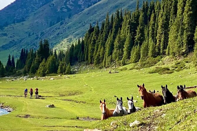 Exploring Kyrgyzstan in 9 Days From Bishkek - Accommodation Details