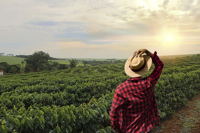Express Coffee Tour Near Medellin - Transportation Details