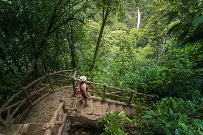 Extreme Hike Near Arenal Volcano - Whats Included in the Tour