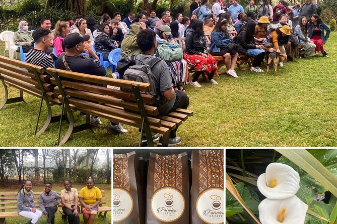 Fairview Estate Coffee Farm Tour With Pick up - Pickup Information