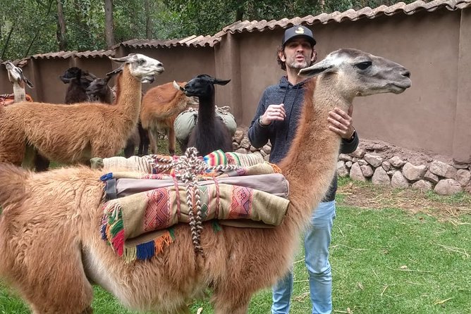 Family Trek With Llamas (Full Day) - Inclusions and Exclusions