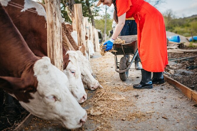 Farm Tour With Cheese Making Class In ​​​​​​​Castelfranco Emilia - Inclusions