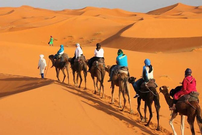 Fes to Fes 3 Days Desert Tour - Meeting and Pickup