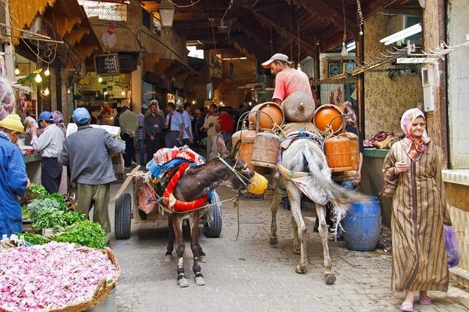 Fez Medina Tour 5 Hours ( GUIDE DRIVER MINIVAN INCLUDED) - Inclusions