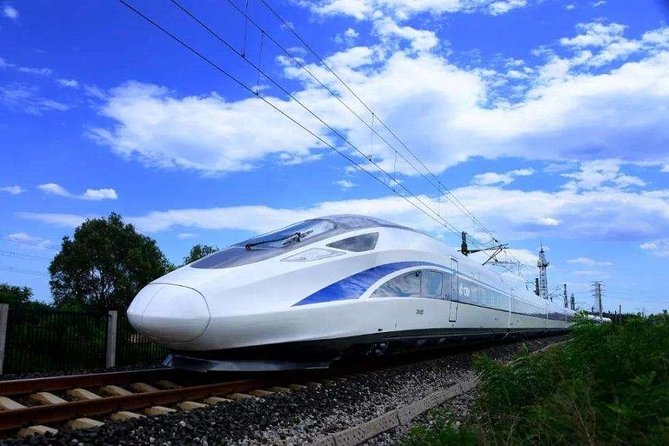 Flexible Shanghai Private Day Tour From Nanjing by Bullet Train - Additional Information
