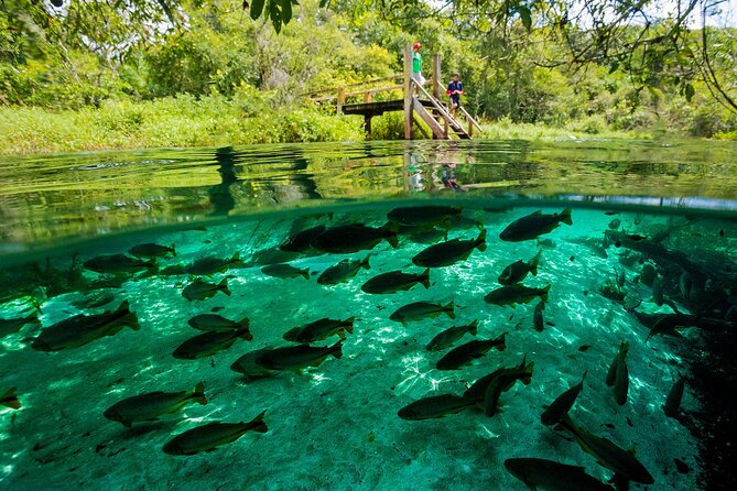 Floating at Sucuri River - Tour Inclusions