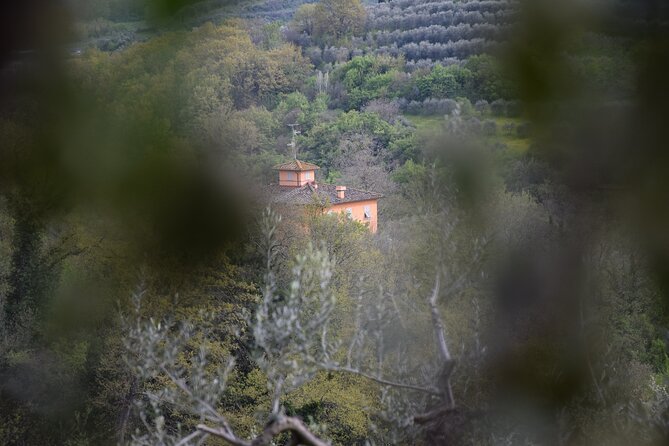 Florence Private E-Bike Adventure to Iconic Attractions & Hills - E-Bike Adventure Route