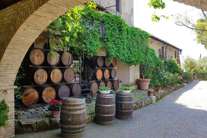 Food and Wine Tasting in Vino Veritas - Experience Details