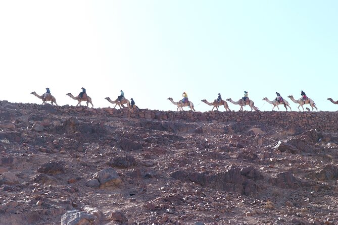 From Cairo - Overnight Trip to St. Catherine Monastery and Mount Sinai - Pricing Information