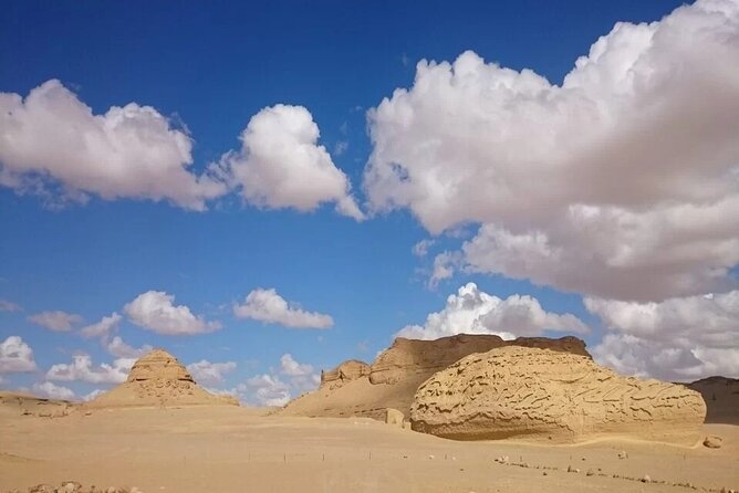 From Cairo: Special Day in El-Fayoum - Included Amenities