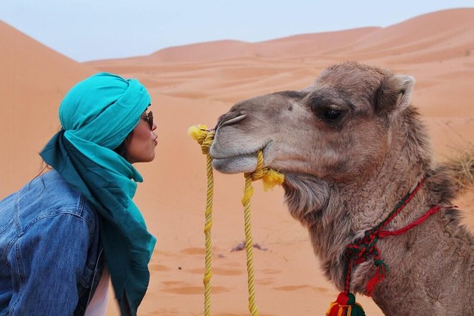 From Hurghada: Quad Bike Safari With Bedouin Dinner - Additional Information
