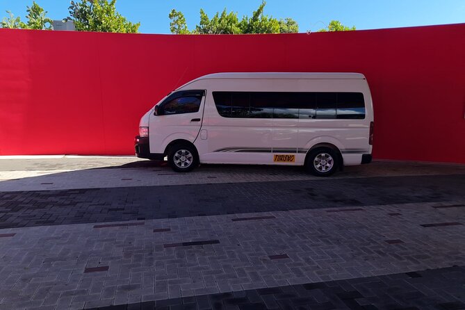 From Liberia Airport From/To the Palms at Playas Del Coco Shuttle - Accessibility Options