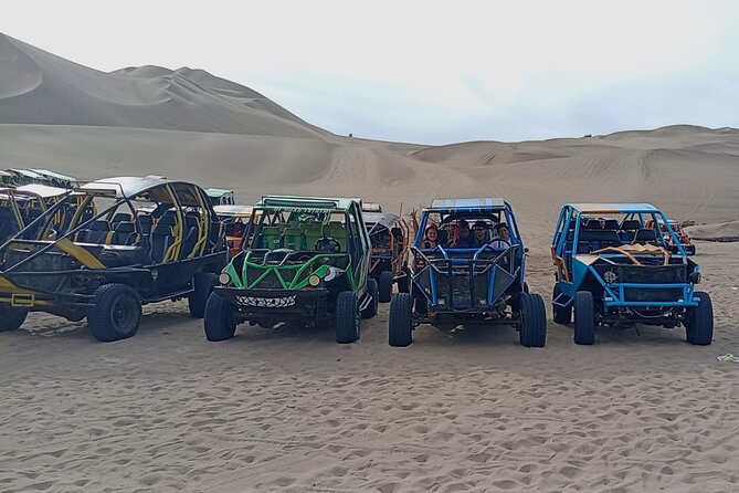From Lima: Private Full Day Paracas, Ica, Huacachina