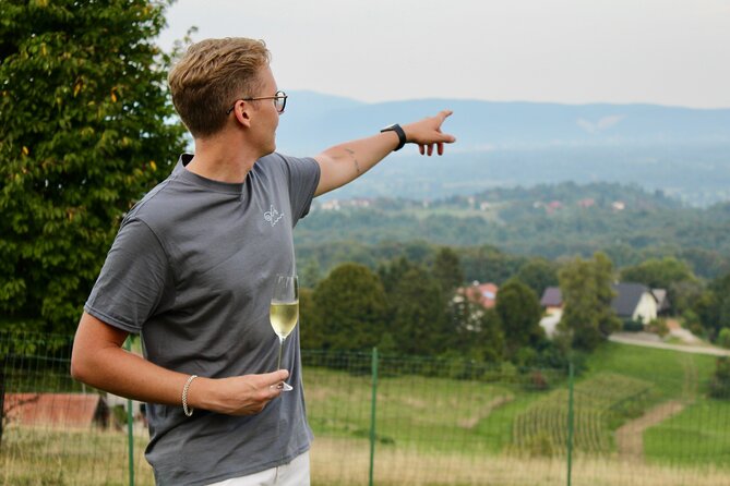 From Ljubljana: Wine Tasting Paired With Art Creation - Inclusions and Pickup Details