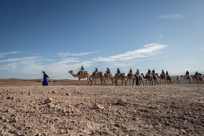 From Marrakech: Agafay Desert Camel Experience - Experience Details