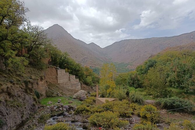 From MARRAKECH : Atlas Day Trip & Camel ,Agafay - Inclusions