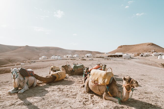 From Marrakech: Camel Ride and Quad Biking Tour - Inclusions and Exclusions