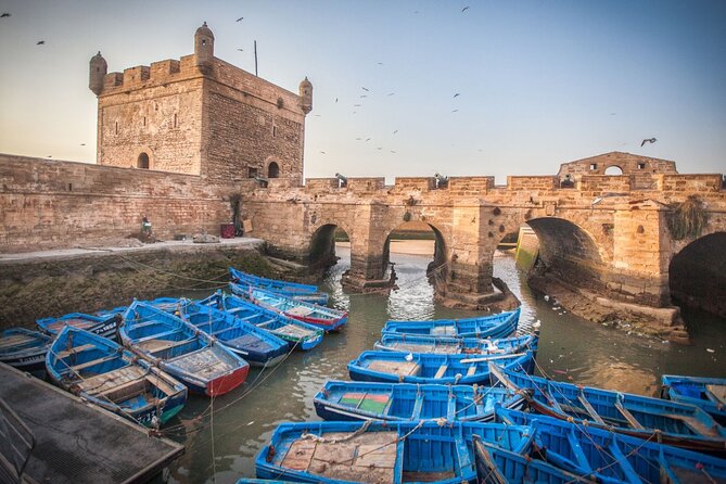 From Marrakech: Day Trip to Essaouira