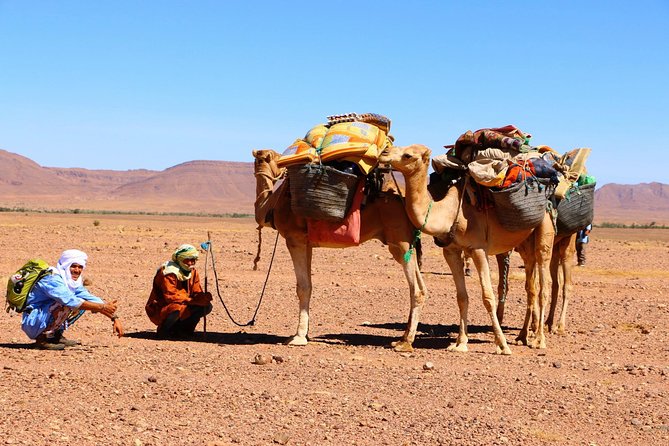 From Ouarzazate: Private 12 Days-Trekking in Draa Valley and Erg Chegaga Dunes - Accommodation Details