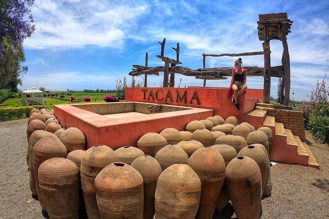 From Paracas: Full Day Ica - Inclusions