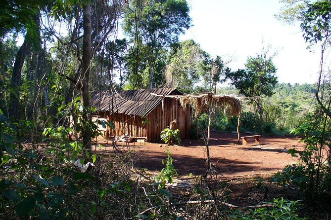 From Puerto Iguazu: Guarani Village Tour With Brunch