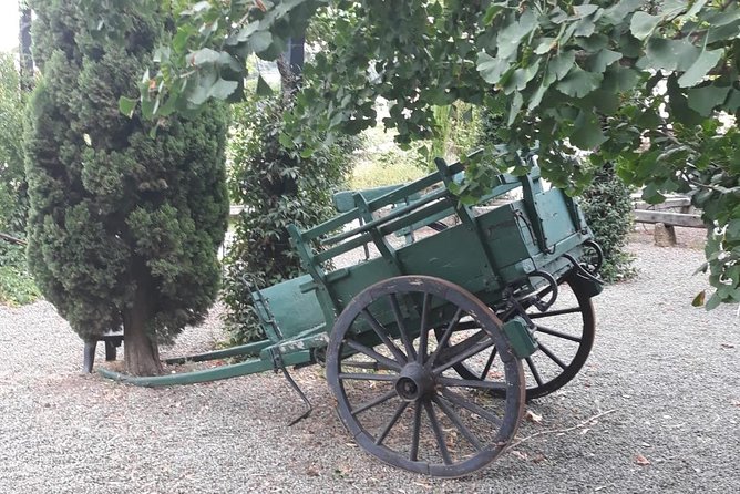 From Rome: Private Wine Tasting and Nemi Tour - Tour Highlights