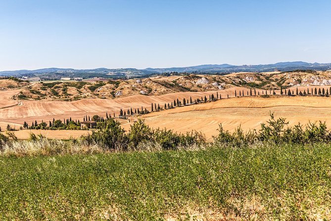 From Rome to San Gimignano and Siena - Meeting Point Details