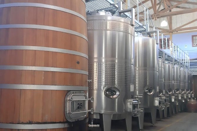 From San Antonio Pier or Valparaiso to the Vineyard With Lunch to the Airport - Whats Included