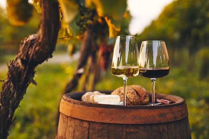 From Villa De Leyva Vineyard Tour - Pickup Points and Additional Info