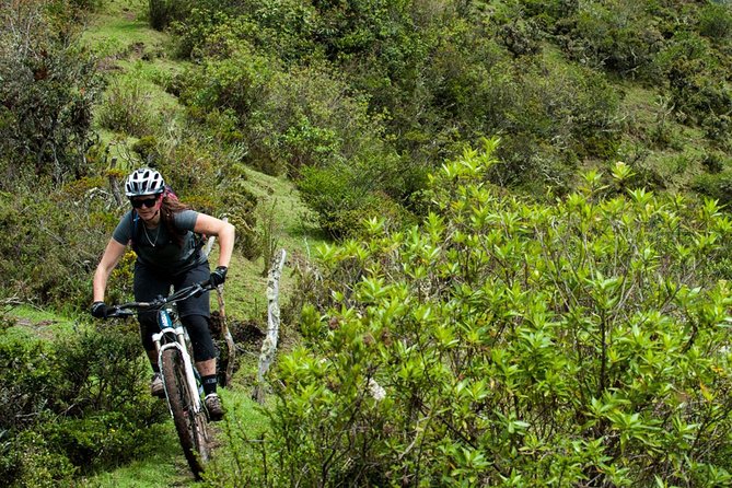 Full Day Bike Rental in Mindo - Meeting Location and Hours