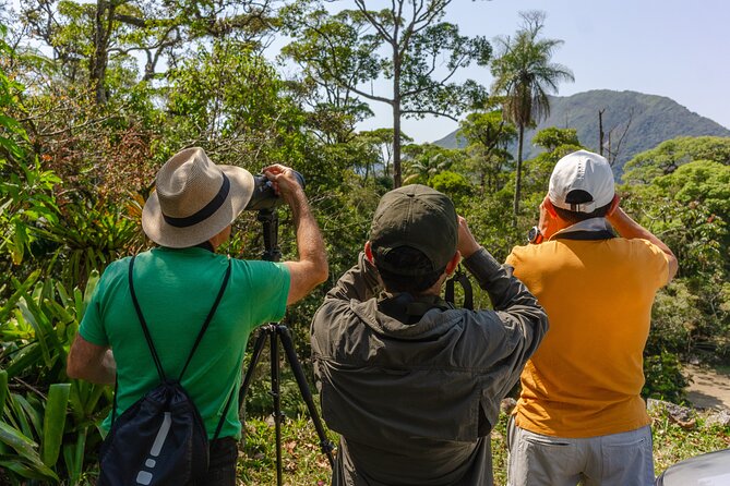 Full Day Bird Sighting Tour in Serra Dos Orgaos Region - Bird Species to Spot