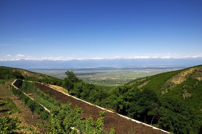 Full Day Bodbe Sighnaghi and Telavi Wine Tasting Tour