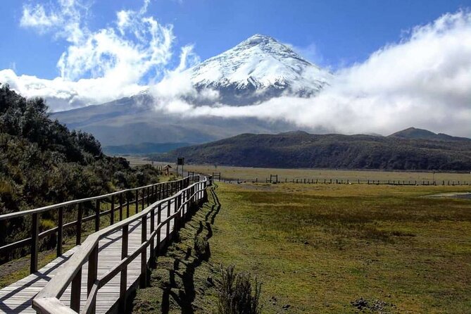 Full Day Cotopaxi National Park - Private - Starting Time