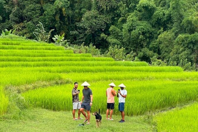 Full-Day Doi Inthanon National Park Tour With Trek and Pagodas - Tour Inclusions