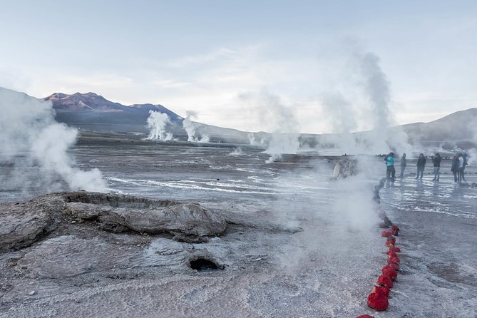Full Day Geyser Del Tatio + Cejar Lagoon Shared Tour - Itinerary Details