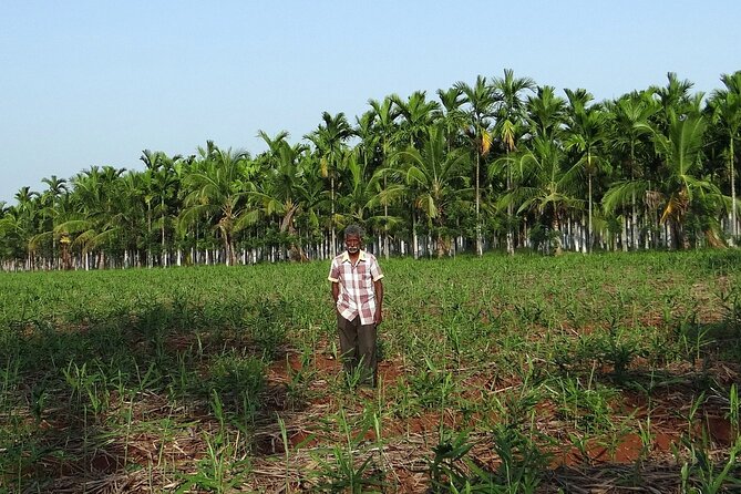Full-Day Goa Shore Excursion With Lunch at a Spice Plantation