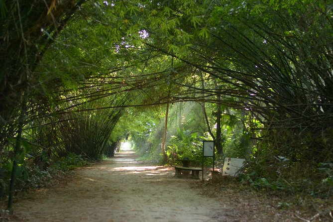 Full-Day Guided Commewijne Plantation Tour by Car - Location Details