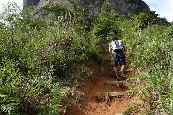 Full-Day Guided Hiking Tour: Gávea Rock From Rio - Itinerary Highlights