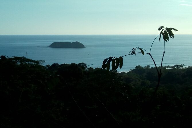 Full Day Hiking Manuel Antonio and Watching Wild Life at Nature From San Jose - Wildlife Spotting With a Guide