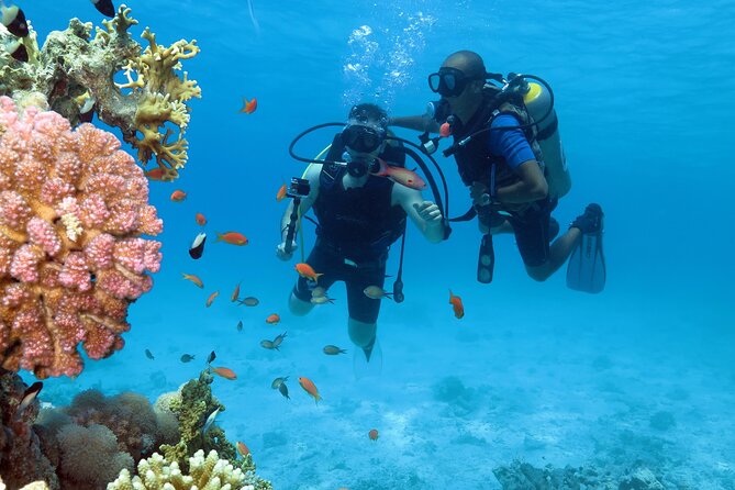 Full-Day Hurghada Boat Trip: Snorkeling and Lunch Included