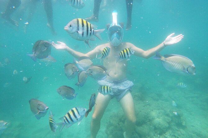 Full Day in Barú Mangroves and Luminous Plankton With Snorkeling - Itinerary Highlights