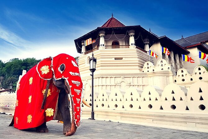 Full Day Kandy City Tour | From Colombo