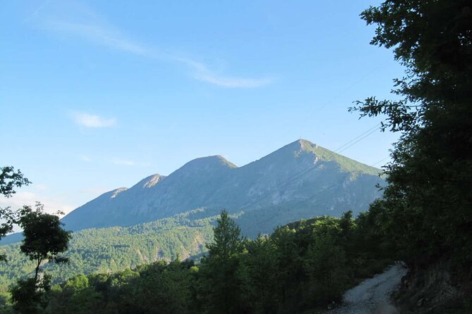 Full-Day Mount Dajti Hiking Tour With Private Transport From Durres - Tour Details